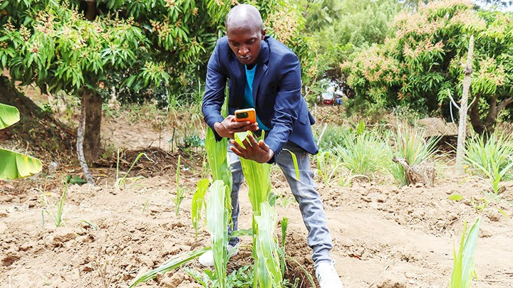 Nông dân Kenya đã biết ứng dụng công nghệ vào trồng trọt. Ảnh: THE GUARDIAN