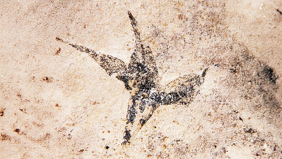 20-t2.jpg