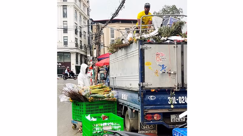 Lao động nước ngoài thường làm các công việc bốc vác, kéo xe, dọn dẹp... tại chợ hoa Quảng An.