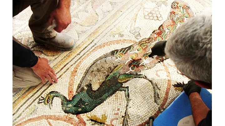 Israel giới thiệu bức tranh khảm cổ giá trị