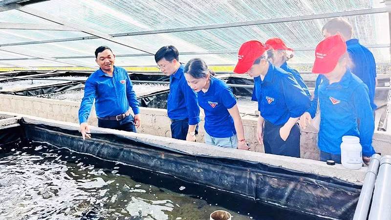 Anh Phước (ngoài cùng bên trái) giới thiệu mô hình nuôi thủy hải sản của HTX Ngư Nam cho đoàn viên, thanh niên.