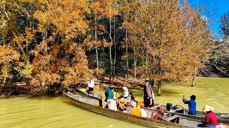 Mùa lá phong hương giữa đại ngàn