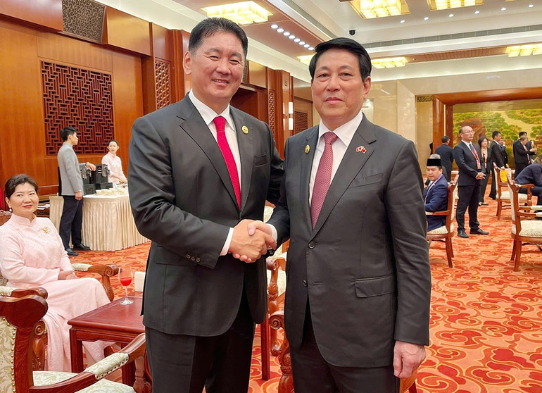 Chủ tịch nước Lương Cường gặp Tổng thống Mông Cổ Ukhnaagiin Khurelsukh. (Ảnh: TTXVN) mongco.jpg