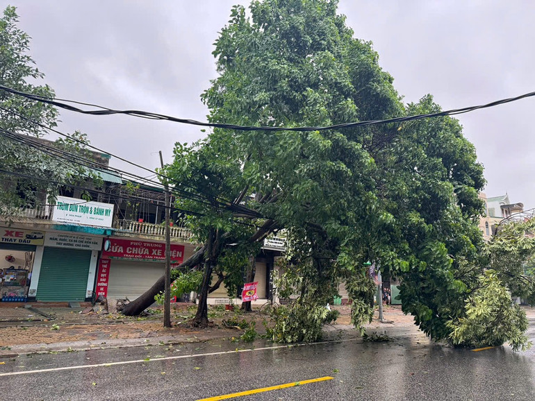 Lúc 17 giờ, trên tuyến đường Nguyễn Thái Học, phường Thành Vinh, tỉnh Nghệ An nhiều cây lớn đã gãy đổ. Ảnh: ĐÌNH PHƯỢNG na3.jpg