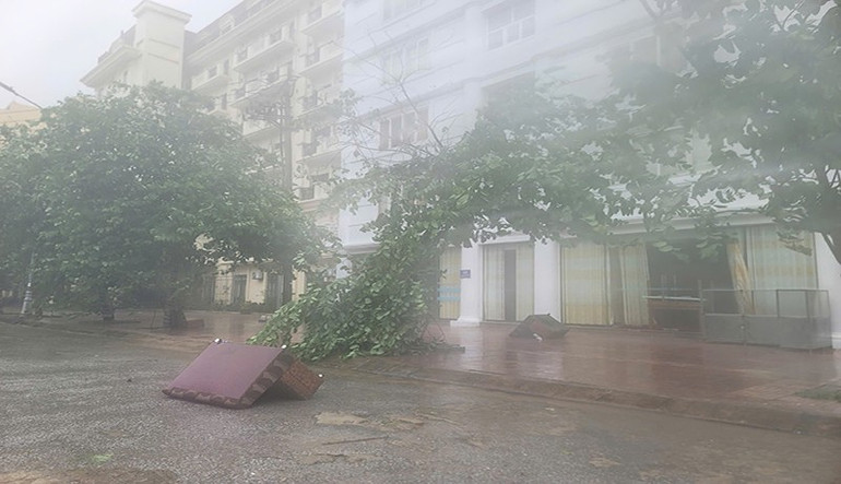 Trên tuyến đường Nguyễn Thức Tự, phường Cửa Lò, Nghệ An. 1.jpg