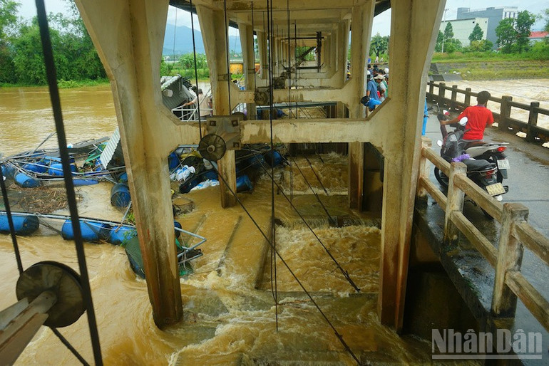 Hiện trường bè cá lớn bị cuốn vào thân đập từ đêm 12/6. (Ảnh: ĐÌNH TĂNG) ndo_br_antrach4.jpg
