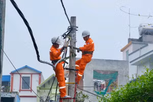 Điện lực Ninh Bình tập trung nâng cao chất lượng nguồn điện, đáp ứng nhu cầu phát triển kinh tế-xã hội của địa phương.