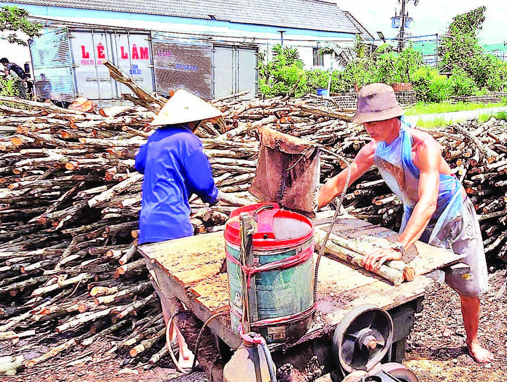 Vận chuyển gỗ đã cưa vào các lò hầm than. van-chuyen-go.jpg