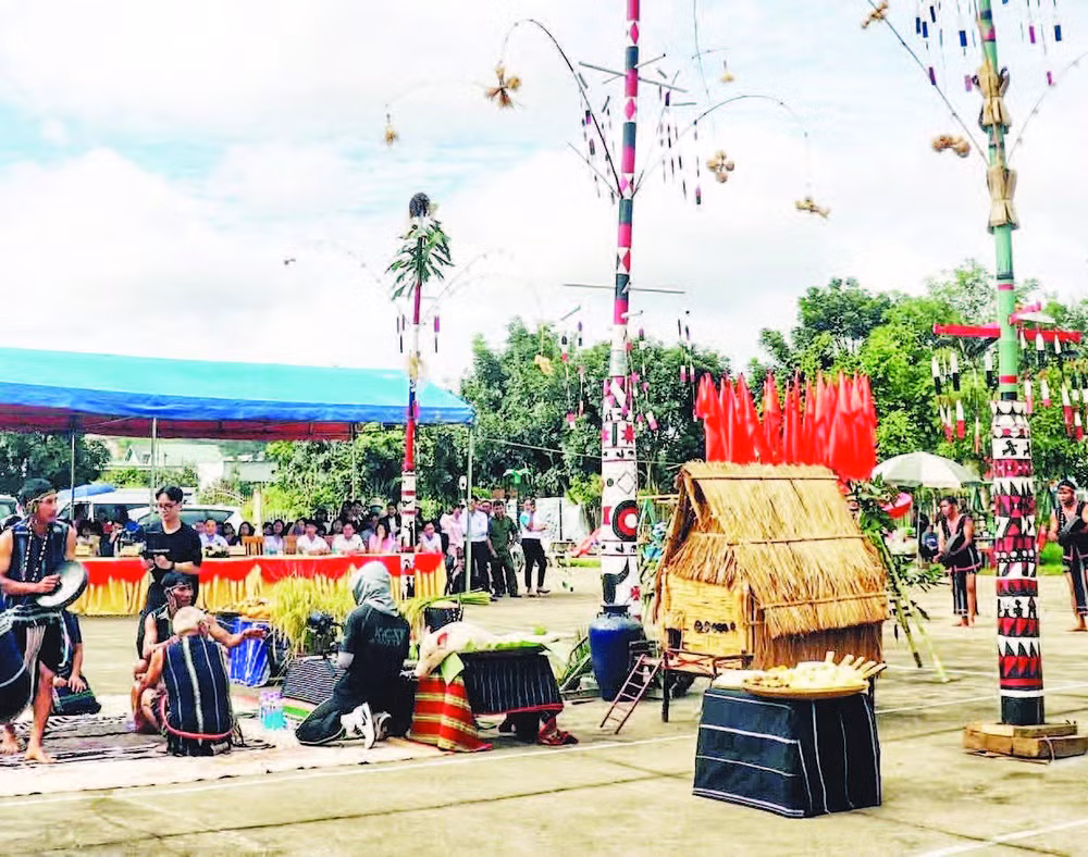 sau-phan-le.jpg