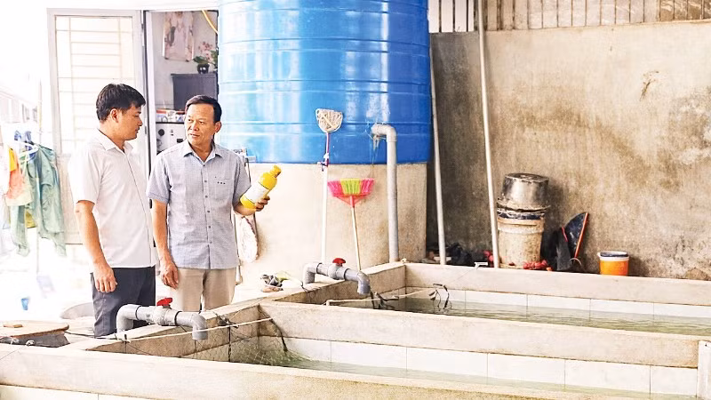 Ông Nguyễn Văn Tý (bên phải), ở xã Tân Hòa, dùng tiền nghỉ chế độ theo Nghị định 178/2024/NĐ-CP để tăng gia sản xuất.