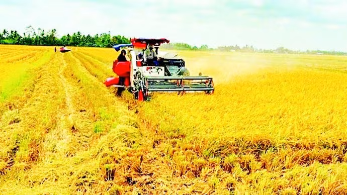 Nhiều hộ nông dân ở xã Vĩnh Mỹ (Cà Mau) khá lên nhờ liên kết làm ăn mô hình hợp tác xã.