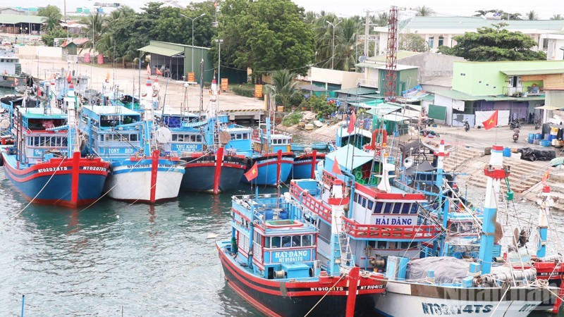 Tàu cá của ngư dân phường Ninh Chử (Khánh Hòa) được hướng dẫn cập cảng an toàn để tránh trú bão. (Ảnh: NGUYỄN TRUNG)