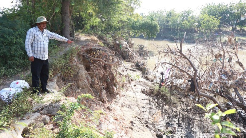 Nhiều điểm sạt lở bờ sông Lu để lại những vách đất dựng đứng, cây cối nghiêng ngả, bật gốc, trơ rễ, rất nguy hiểm. (Ảnh: NGUYỄN TRUNG)