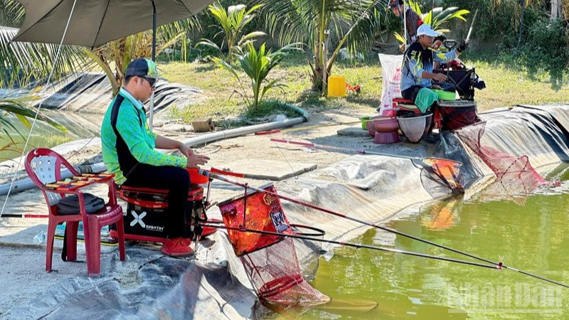 Nhiều người yêu thích câu cá để giải trí tìm đến khu câu cá Quốc Cường ngày càng đông. (Ảnh: NGUYỄN TRUNG)