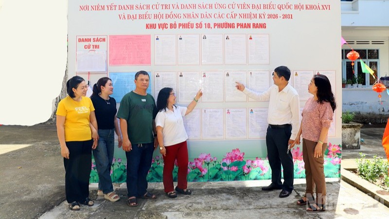 Cử tri khu vực bỏ phiếu số 10 phường Phan Rang (Khánh Hòa) xem niêm yết danh sách cử tri và danh sách ứng cử viên Đại biểu Quốc hội và Đại biểu Hội đồng nhân dân các cấp, nhiệm kỳ 2026-2031. (Ảnh: NGUYỄN TRUNG)