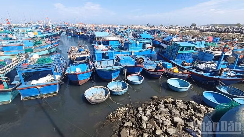 Một góc cảng cá Mỹ Tân, tỉnh Khánh Hòa. (Ảnh: NGUYỄN TRUNG)
