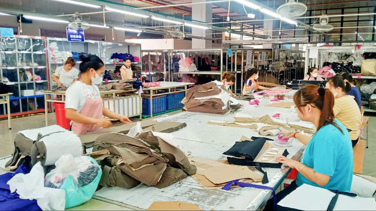 Đến hết năm 2024, Công ty cổ phần Đầu tư và Thương mại TNG tuyển dụng thêm 2000 công nhân để mở rộng sản xuất.