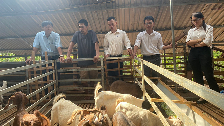 Nhiều mô hình chăn nuôi hiệu quả được triển khai trong xây dựng nông thôn mới. Nhiều mô hình chăn nuôi hiệu quả được triển khai trong xây dựng nông thôn mới.