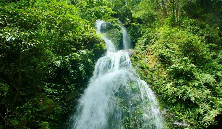 Thác nước trong Vườn Quốc gia Vũ Quang.