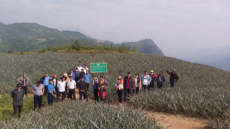 Dự án khuyến nông hỗ trợ nông dân.