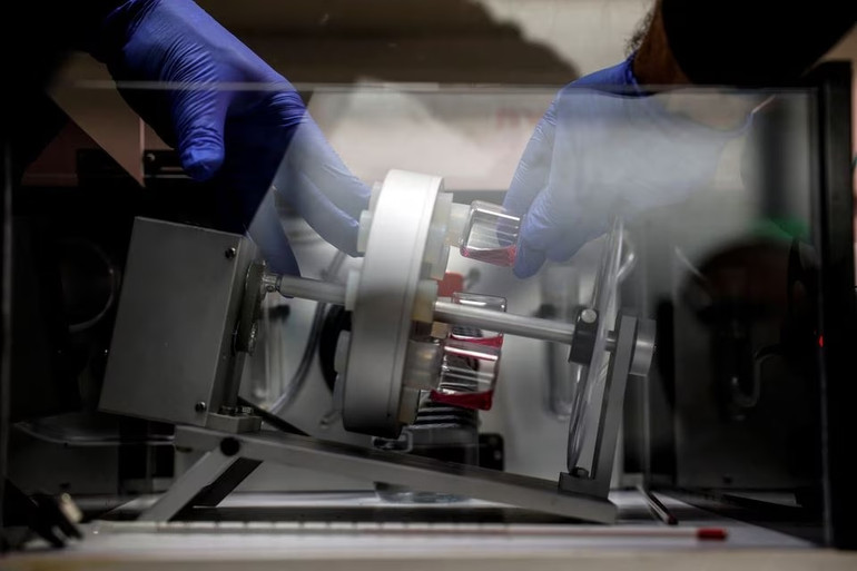 Mô hình phôi người được tạo từ các tế bào gốc có nguồn gốc từ tế bào da người trưởng thành. Ảnh: Reuters.