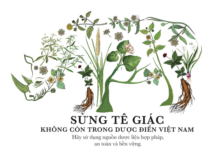 Một trong số hình ảnh truyền thông mới hướng tới giảm nhu cầu tiêu thụ động vật hoang dã trái pháp luật.