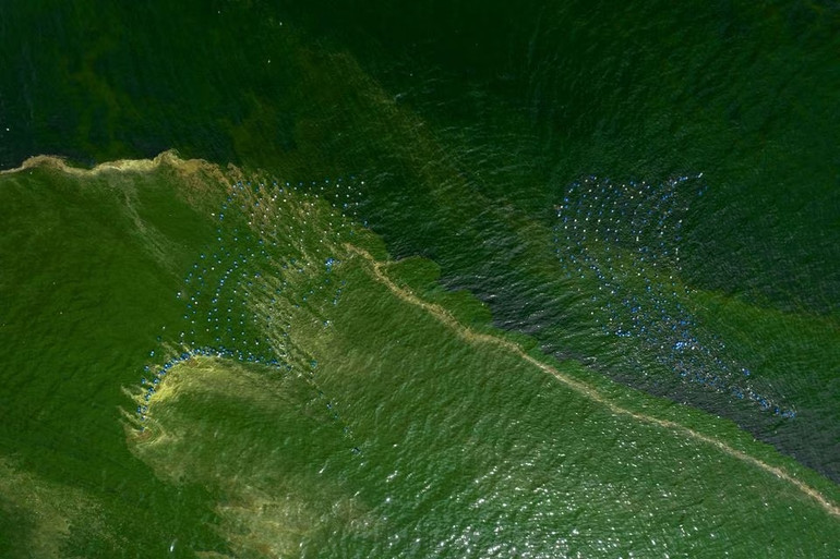 Ảnh chụp từ trên cao trên các trang trại nuôi trai được bao quanh bởi nước biển xanh lục do sinh vật phù du nở hoa ở bờ biển Chonburi, Thái Lan, ngày 14/9. Ảnh: Reuters.