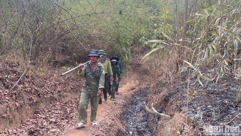 Các đơn vị kiểm tra rừng trong mùa khô.