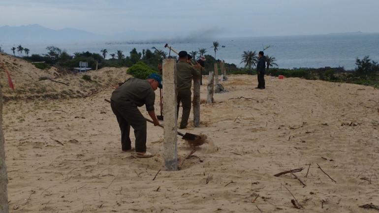 Đất ba loại rừng của huyện Tuy Phong.