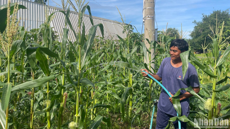 Ngân hàng chính sách xã hội tỉnh được tăng nguồn vốn để cho vay đối với người nghèo và các đối tượng chính sách khác.