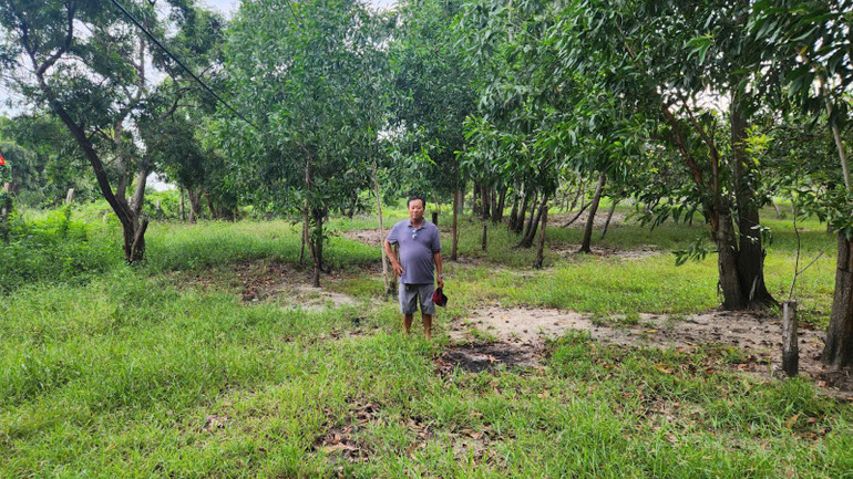 Đất của ông Bùi Văn Ốm (địa chỉ khu phố Long Sơn, phường Mũi Né, thành phố Phan Thiết) khai hoang diện tích đất hơn 3.048m2