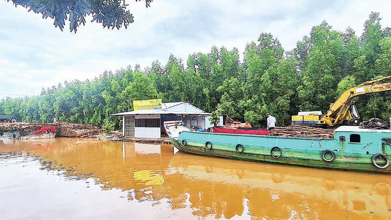 Khách hàng được hỗ trợ gói vay tín dụng 15.000 tỷ đồng, thu mua lâm sản ở miệt rừng U Minh Hạ.