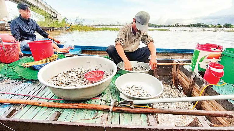Mùa lũ giúp ngư dân có thu nhập ổn định từ đánh bắt cá.