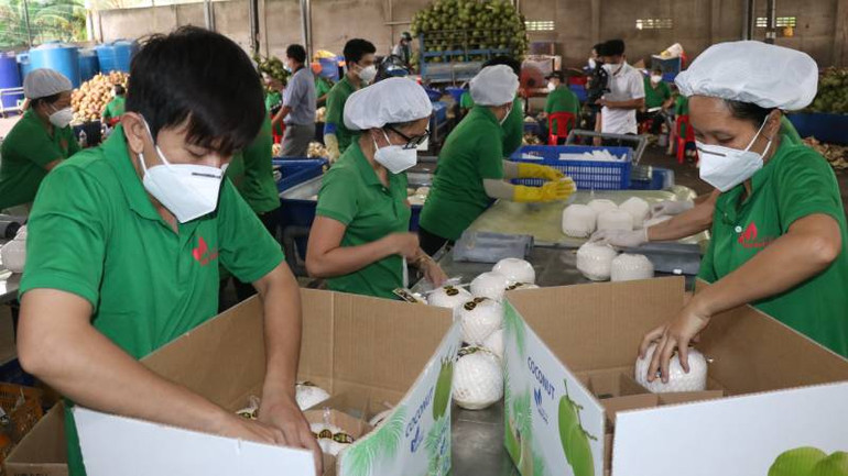 Sản phẩm từ dừa của Bến Tre xuất sang 90 nước và vùng lãnh thổ. (Ảnh: HOÀNG TRUNG) Sản phẩm từ dừa của Bến Tre xuất sang 90 nước và vùng lãnh thổ. (Ảnh: HOÀNG TRUNG)