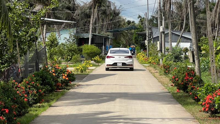 Đường giao thông nông thôn ở ấp Tân Qưới Đông A (xã Minh Đức) được mở rộng, người dân trồng hoa ven đường rất đẹp. (Ảnh: HOÀNG TRUNG) Đường giao thông nông thôn ở ấp Tân Qưới Đông A (xã Minh Đức) được mở rộng, người dân trồng hoa ven đường rất đẹp. (Ảnh: HOÀNG TRUNG)