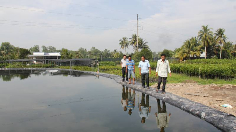 Người dân huyện Chợ Lách (tỉnh Bến Tre) trữ nước ngọt phục vụ sản xuất cây giống.