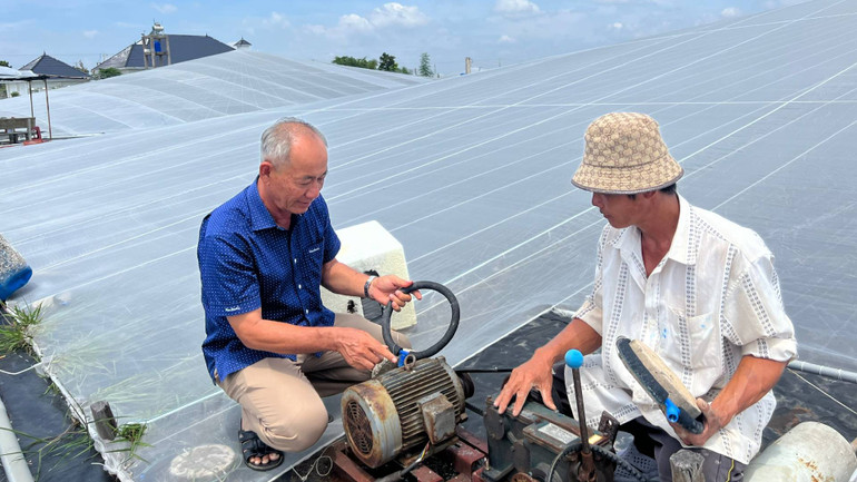 Gia đình ông Lê Văn Sấm đầu tư máy móc, nhà lưới phát triển hiệu quả mô hình nuôi tôm công nghệ cao. (Ảnh: HOÀNG TRUNG) Gia đình ông Lê Văn Sấm đầu tư máy móc, nhà lưới phát triển hiệu quả mô hình nuôi tôm công nghệ cao. (Ảnh: HOÀNG TRUNG)