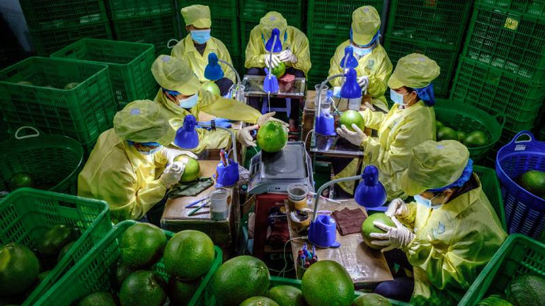 Cuộc thi ảnh nghệ thuật nội dung chú trọng phát triển kinh tế, văn hóa, xã hội của tỉnh Bến tre. (Ảnh: TRUNG HIẾU)