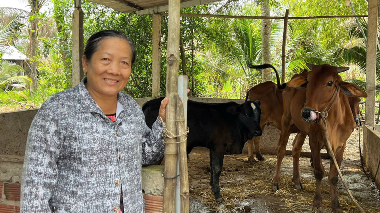 Từ nguồn vốn của Ngân hàng Chính sách xã hội giúp người dân tỉnh Bến Tre phát triển chăn nuôi, thoát nghèo bền vững. (Ảnh: HOÀNG TRUNG)