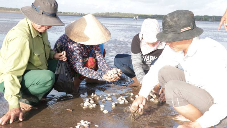 Nghêu Bến Tre đạt tiêu chuẩn chứng nhận MSC.