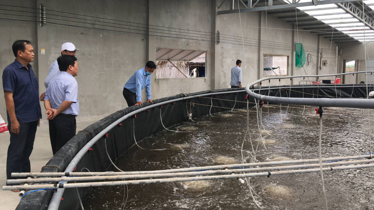 Ao nuôi được đầu tư trong nhà khép kín tại huyện Thạnh Phú, tỉnh Bến Tre. (Ảnh: HOÀNG TRUNG) Ao nuôi được đầu tư trong nhà khép kín tại huyện Thạnh Phú, tỉnh Bến Tre. (Ảnh: HOÀNG TRUNG)