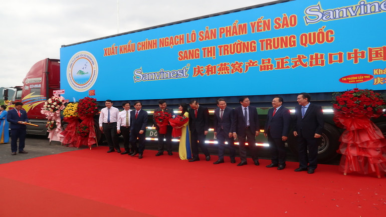 Xuất khẩu chính ngạch lô hàng yến sào nguyên chất đầu tiên sang thị trường Trung Quốc. (Ảnh: PHONG NGUYÊN)