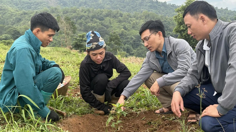 Cán bộ Phòng Nông nghiệp và Phát triển nông thôn huyện Mường Ảng, tỉnh Điện Biên, hướng dẫn nông dân bản Bua 2, xã Ẳng Tở cách phát hiện sâu bệnh trên cây cà-phê. (Ảnh BÍCH HẠNH)
