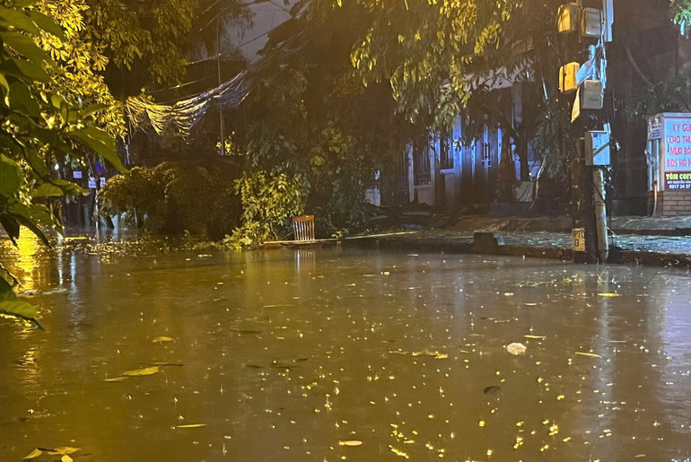 (Ảnh: Thế Đại) (Ảnh: Thế Đại)