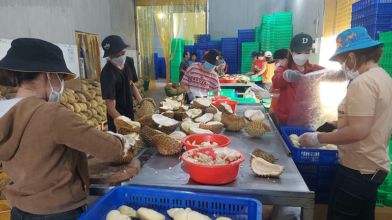 Chế biến sâu nông sản góp phần tăng giá trị, tạo được đầu ra ổn định cho sản phẩm