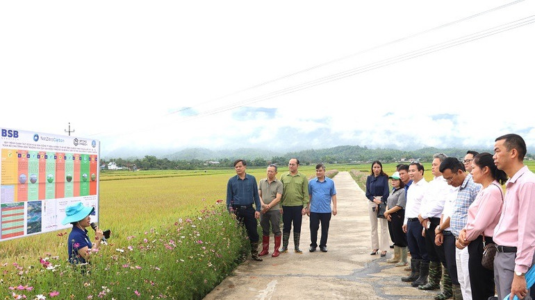 Lãnh đạo Ủy ban nhân dân tỉnh Điện Biên cùng đại diện Sở Nông nghiệp và Môi trường, huyện Điện Biên đánh giá các bước thực hiện theo quy trình canh tác lúa thông minh tại xã Thanh Xương, huyện Điện Biên.