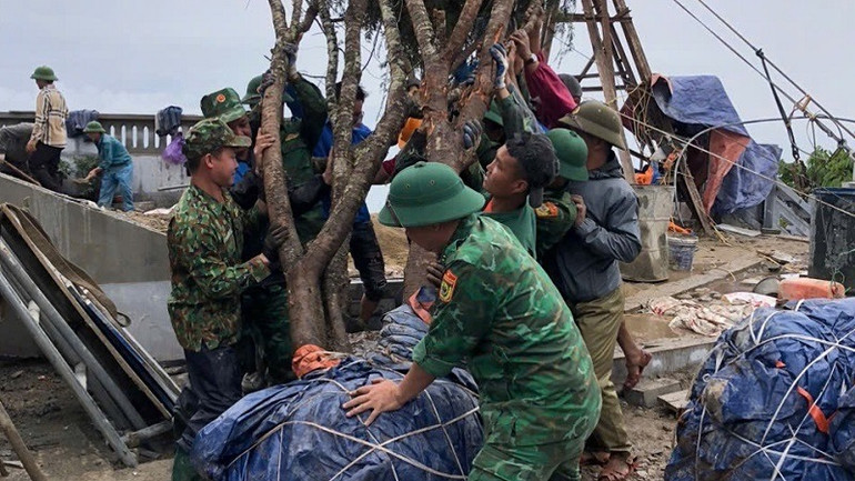 Đã rất nhiều ngày, các chiến sĩ biên phòng và đoàn viên thanh niên xã Sín Thầu phải dốc sức khiêng từng cây lên trồng quanh khuôn viên Cột cờ A Pa Chải.