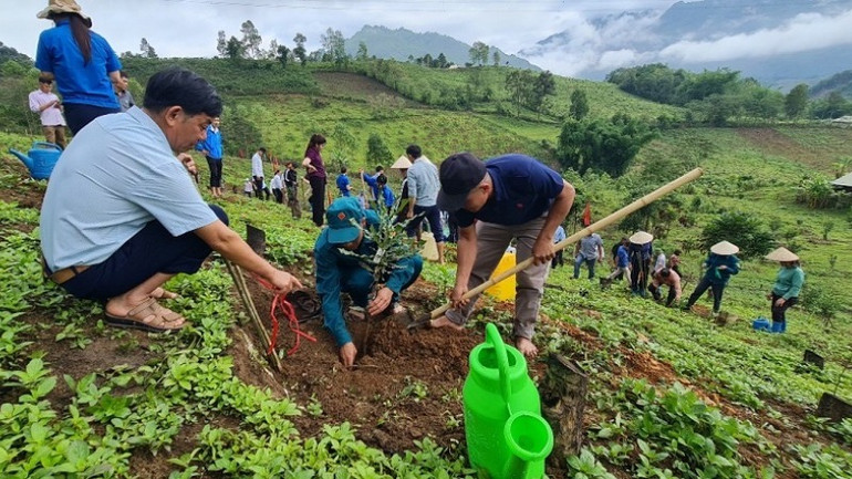 Nhân dân các bản trong xã Quài Nưa ra quân trồng, chăm sóc cây mắc-ca. Nhân dân các bản trong xã Quài Nưa ra quân trồng, chăm sóc cây mắc-ca.