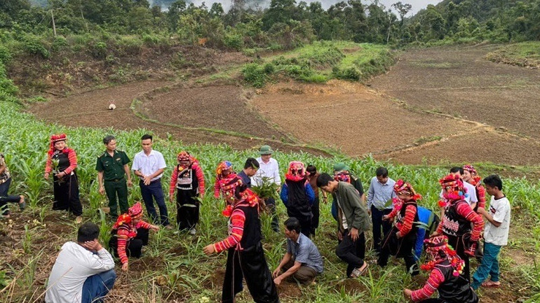 Hưởng ứng các nội dung đề án xây dựng điểm khu dân cư biên giới, nhân dân bản Tả Ló San đã cùng nhau trồng cây, giữ gìn cảnh quan môi trường xanh-sạch-đẹp.