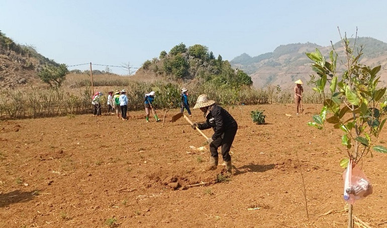 Hội viên nữ xã Rạng Đông tham gia hội thi đào hố giúp gia đình nghèo trồng cây mắc-ca.